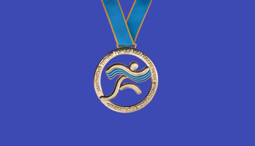 Медаль «Железный человек — 2013»